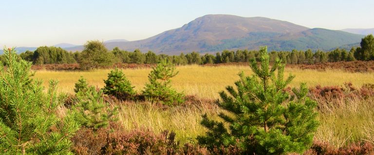 Towards the Cairngorms