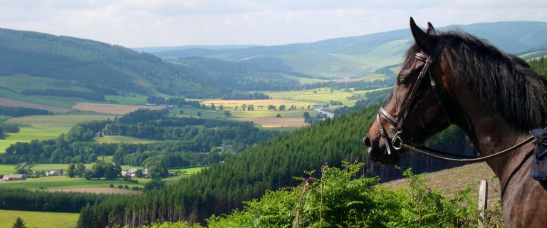 Across the Tweed Valley from Minch Moor