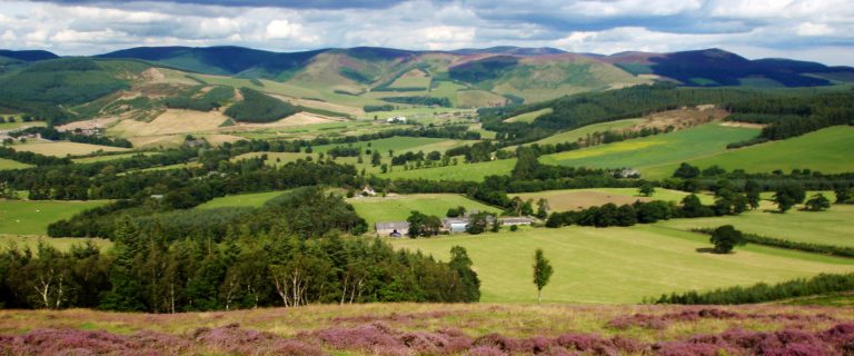 Tweed Valley