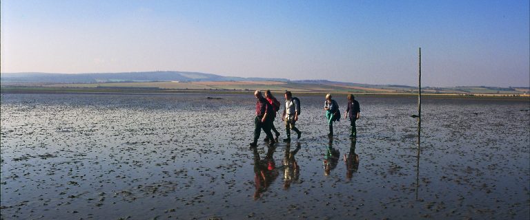 Pilgrims' Path crossing to Lindisfarne