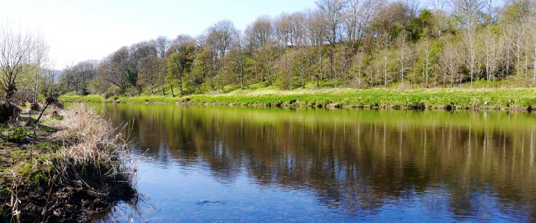 River Tweed near Melrose